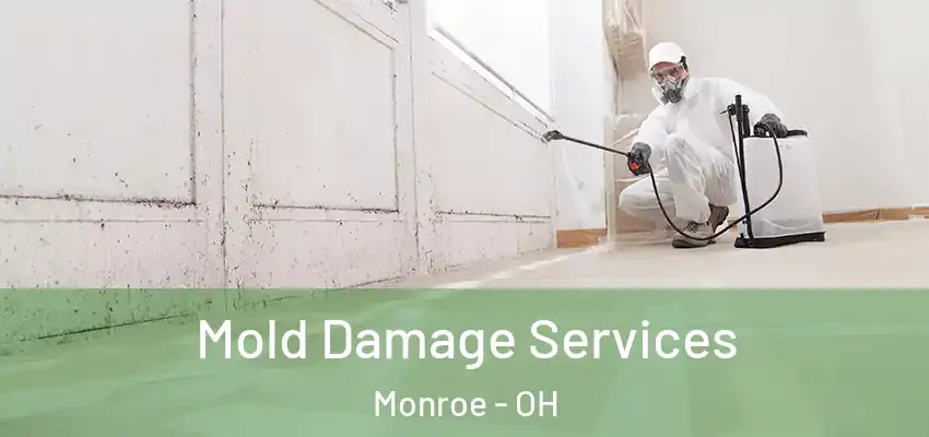  Mold Damage Services Monroe - OH