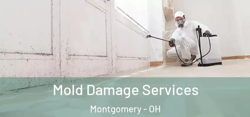 Mold Damage Services Montgomery - OH