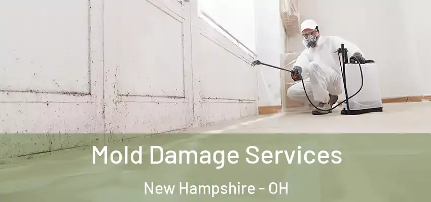  Mold Damage Services New Hampshire - OH