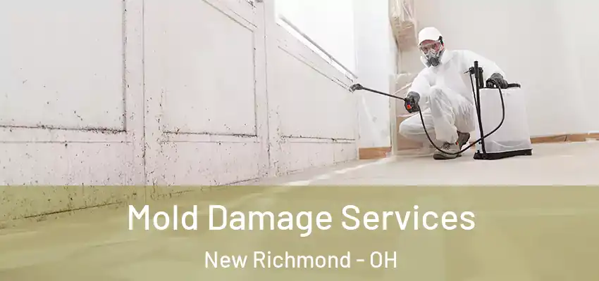  Mold Damage Services New Richmond - OH
