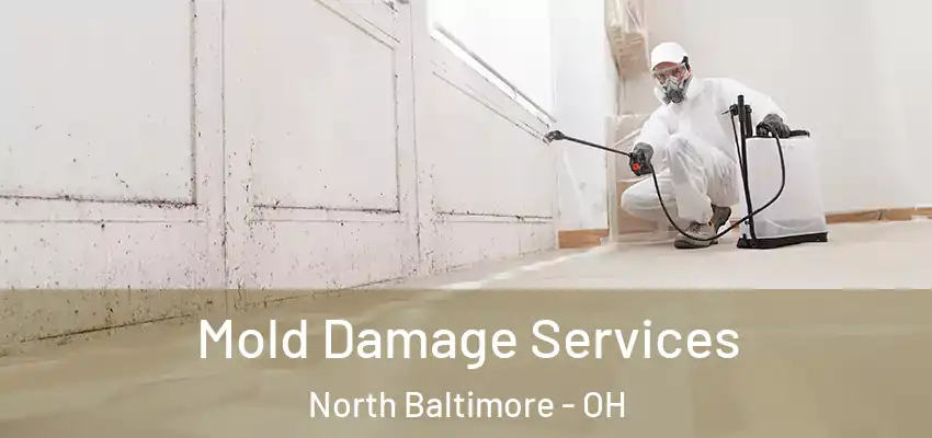  Mold Damage Services North Baltimore - OH