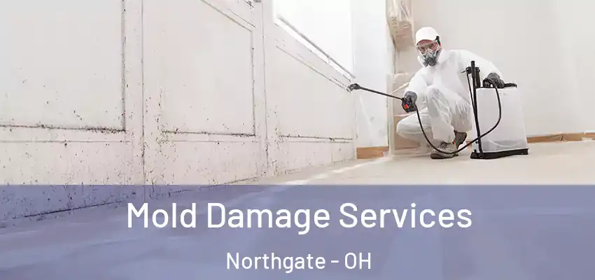  Mold Damage Services Northgate - OH