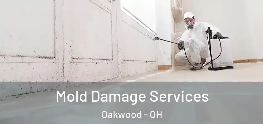  Mold Damage Services Oakwood - OH