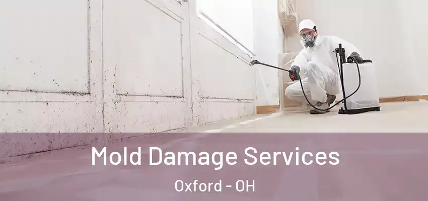 Mold Damage Services Oxford - OH