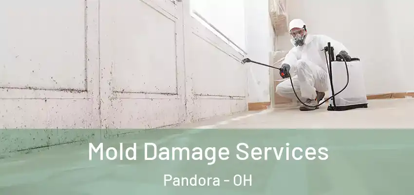 Mold Damage Services Pandora - OH