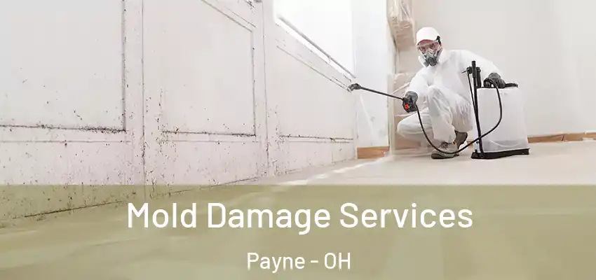 Mold Damage Services Payne - OH