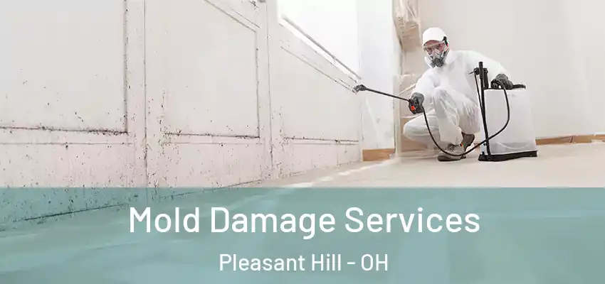  Mold Damage Services Pleasant Hill - OH
