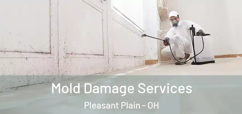  Mold Damage Services Pleasant Plain - OH