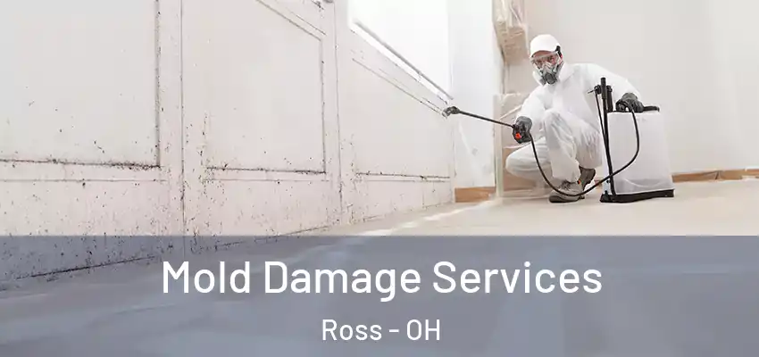  Mold Damage Services Ross - OH