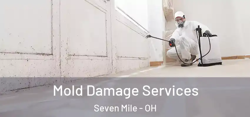  Mold Damage Services Seven Mile - OH
