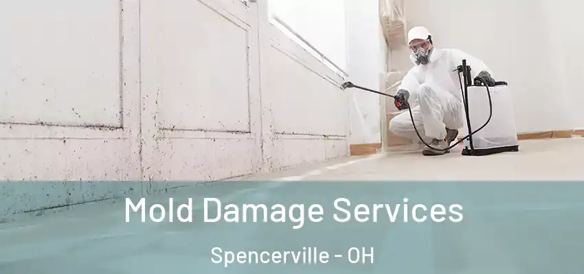 Mold Damage Services Spencerville - OH