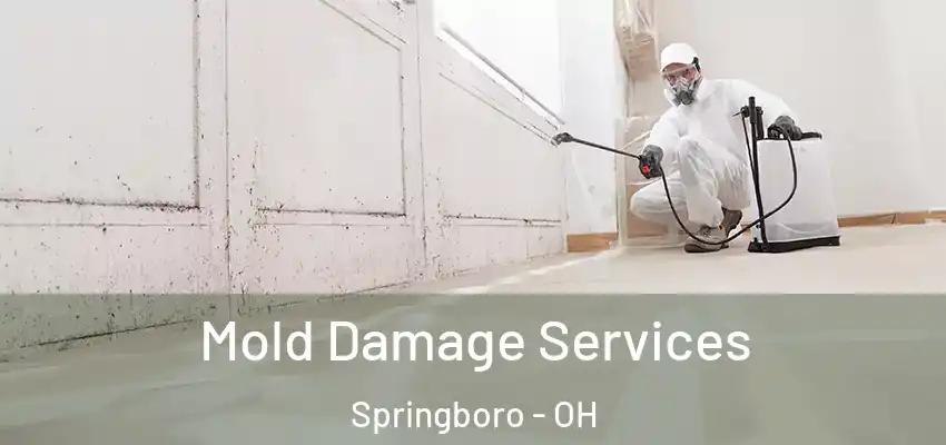  Mold Damage Services Springboro - OH