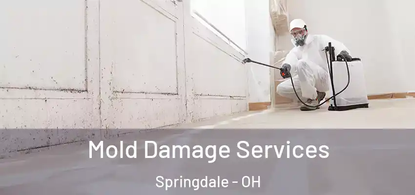 Mold Damage Services Springdale - OH