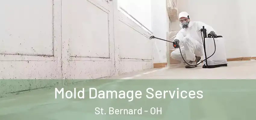 Mold Damage Services St. Bernard - OH