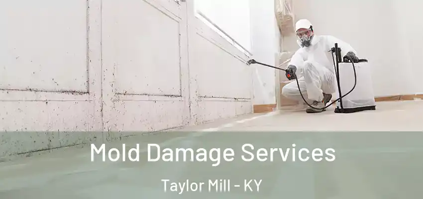  Mold Damage Services Taylor Mill - KY