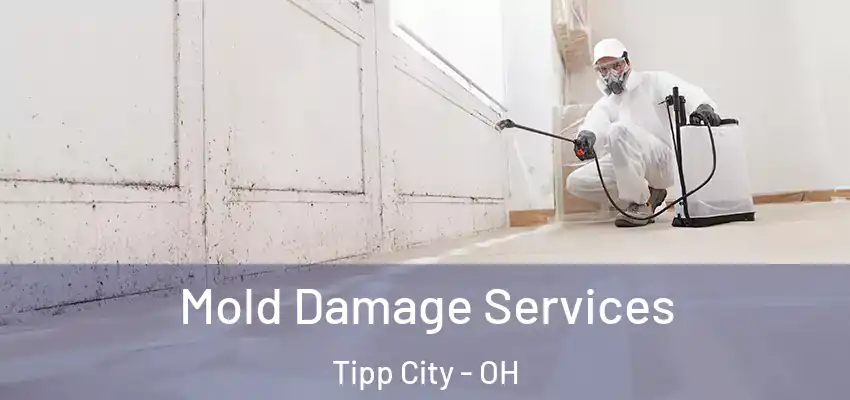 Mold Damage Services Tipp City - OH