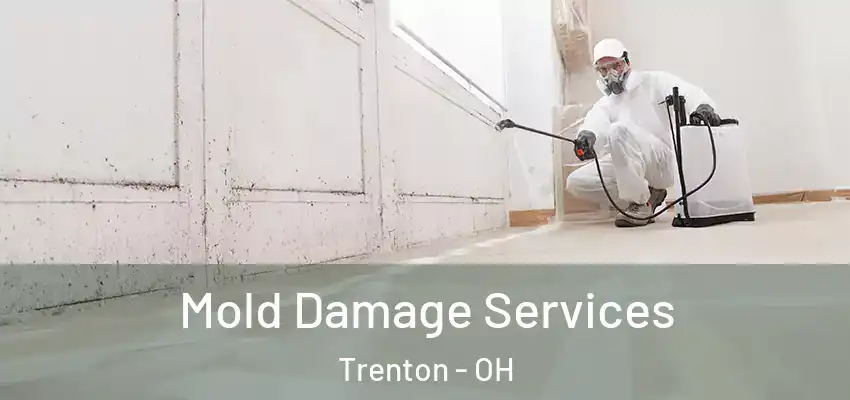  Mold Damage Services Trenton - OH