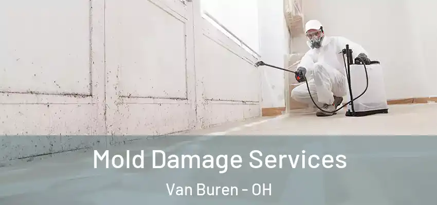  Mold Damage Services Van Buren - OH
