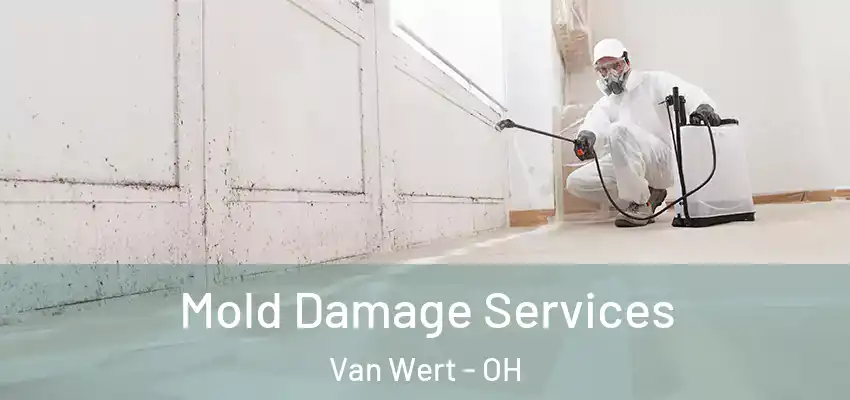Mold Damage Services Van Wert - OH