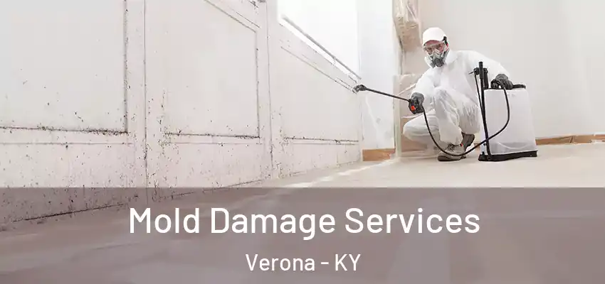  Mold Damage Services Verona - KY