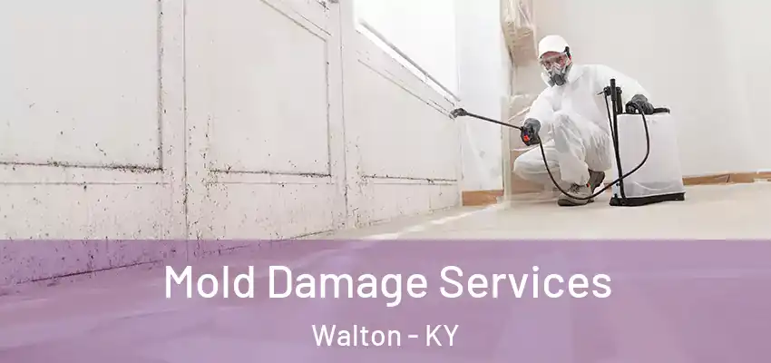 Mold Damage Services Walton - KY