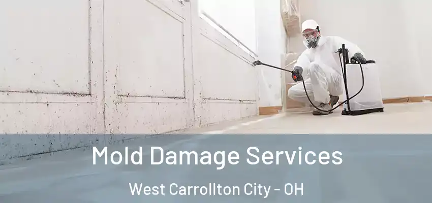  Mold Damage Services West Carrollton City - OH