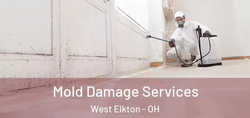  Mold Damage Services West Elkton - OH