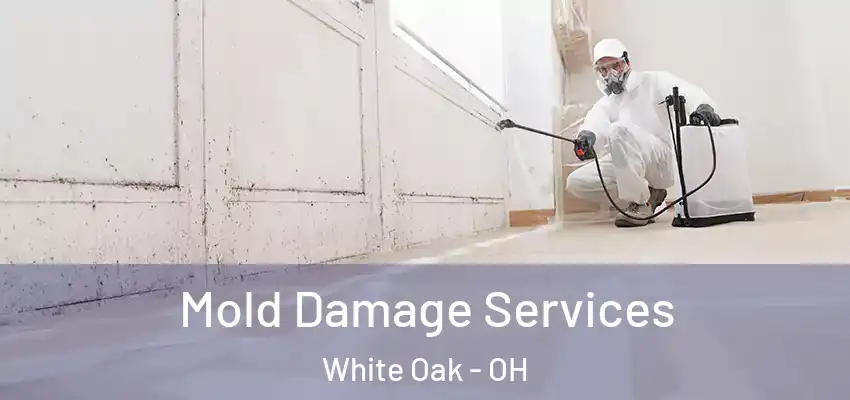  Mold Damage Services White Oak - OH