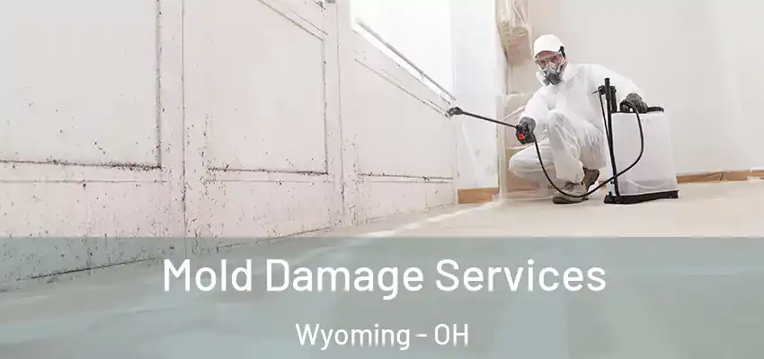  Mold Damage Services Wyoming - OH