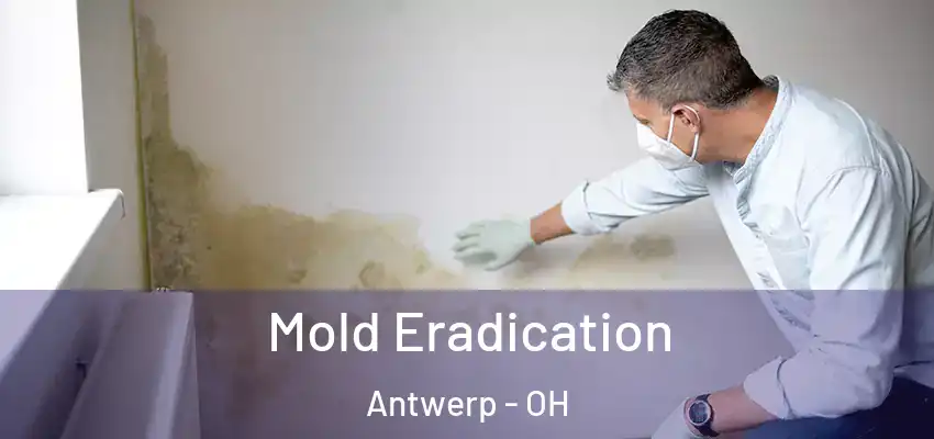  Mold Eradication Antwerp - OH