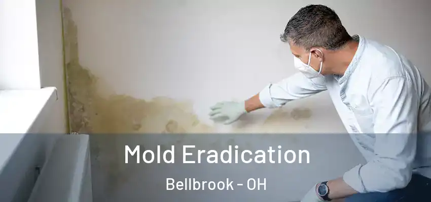  Mold Eradication Bellbrook - OH