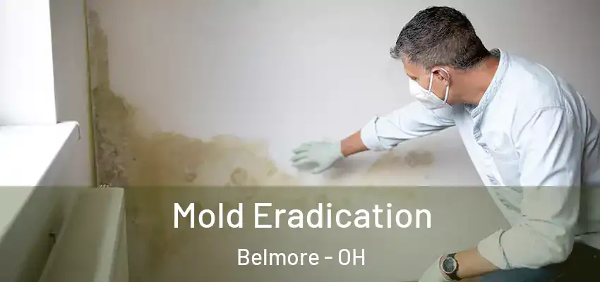  Mold Eradication Belmore - OH