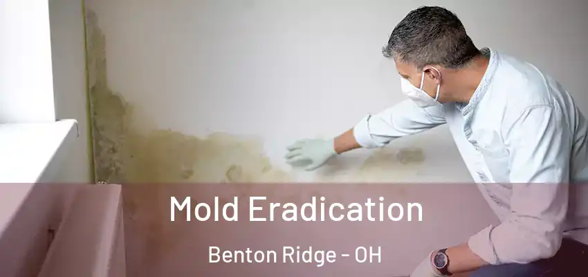  Mold Eradication Benton Ridge - OH