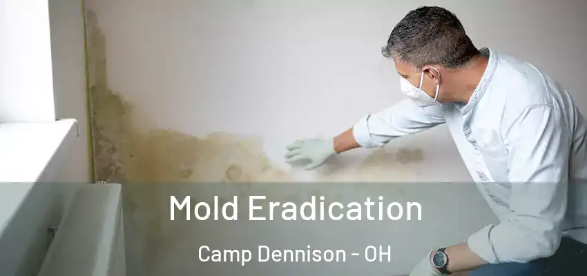  Mold Eradication Camp Dennison - OH