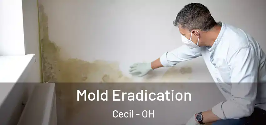  Mold Eradication Cecil - OH