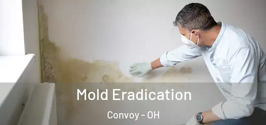  Mold Eradication Convoy - OH