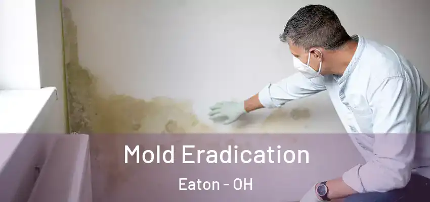  Mold Eradication Eaton - OH