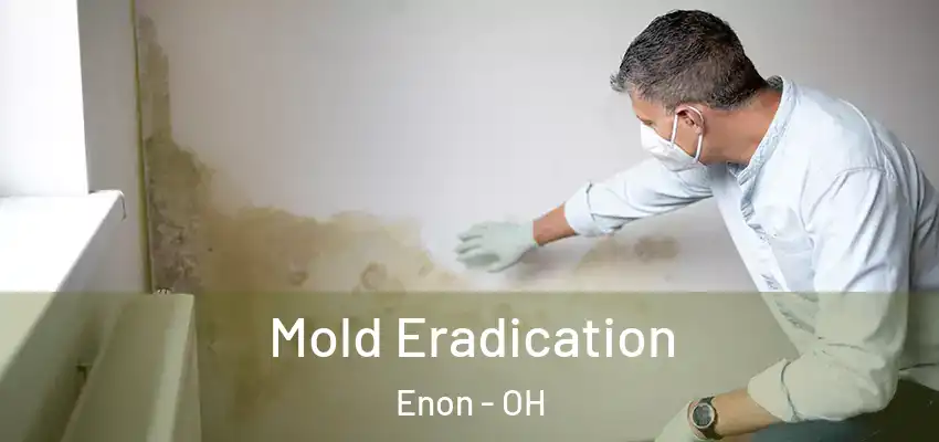 Mold Eradication Enon - OH