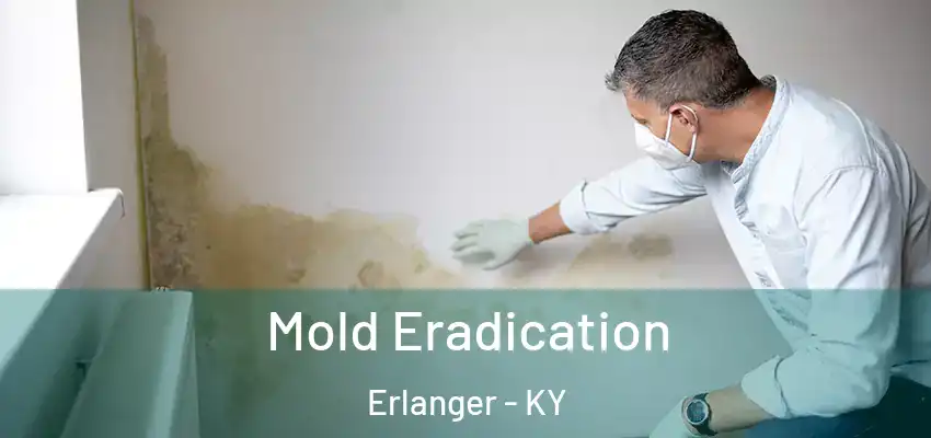  Mold Eradication Erlanger - KY