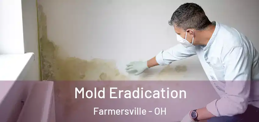  Mold Eradication Farmersville - OH