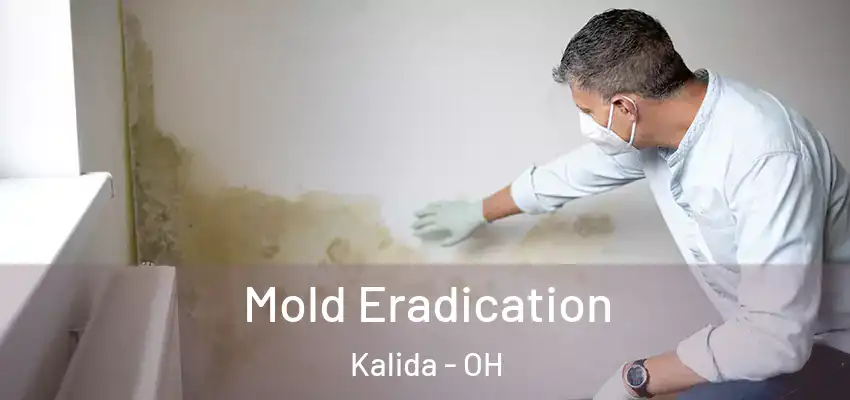Mold Eradication Kalida - OH