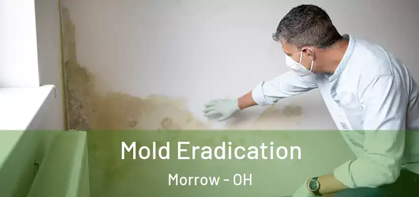  Mold Eradication Morrow - OH