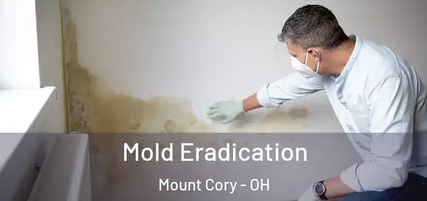  Mold Eradication Mount Cory - OH