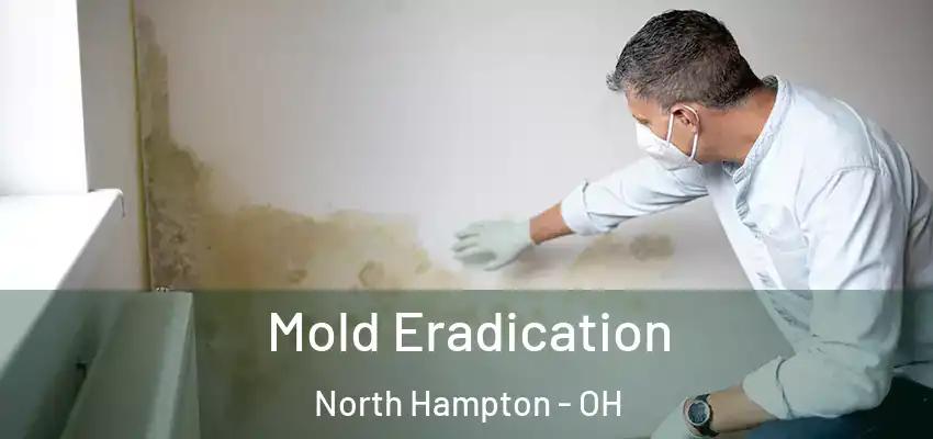  Mold Eradication North Hampton - OH