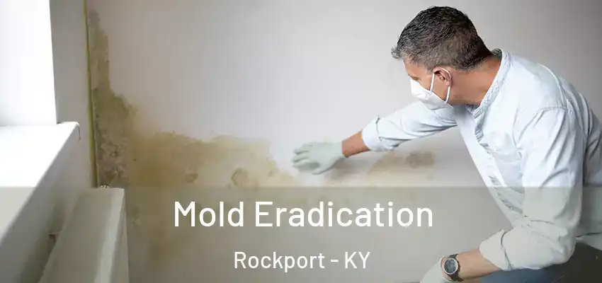  Mold Eradication Rockport - KY