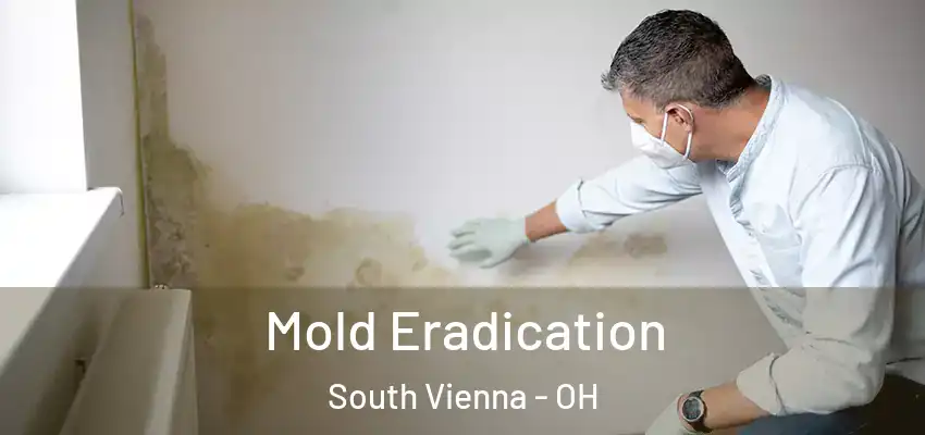  Mold Eradication South Vienna - OH