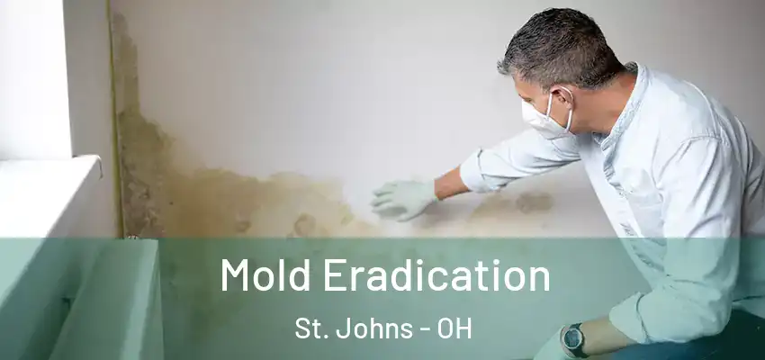 Mold Eradication St. Johns - OH