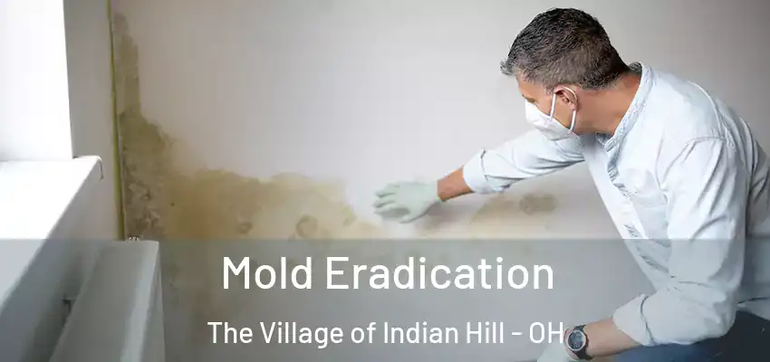  Mold Eradication The Village of Indian Hill - OH