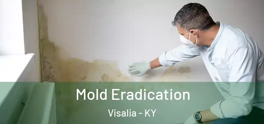  Mold Eradication Visalia - KY