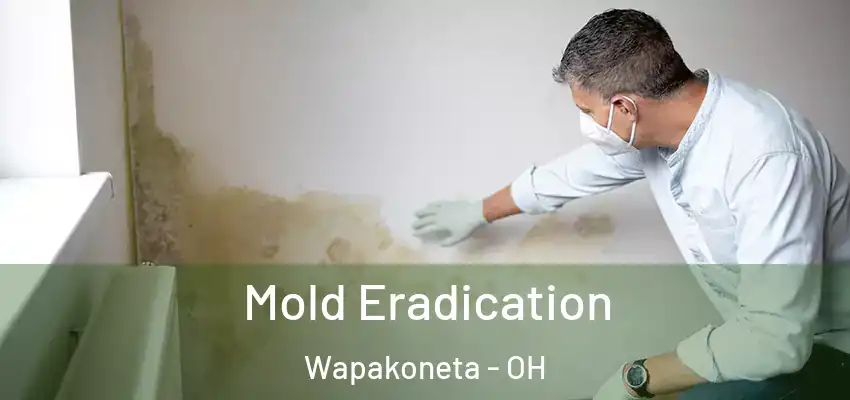  Mold Eradication Wapakoneta - OH